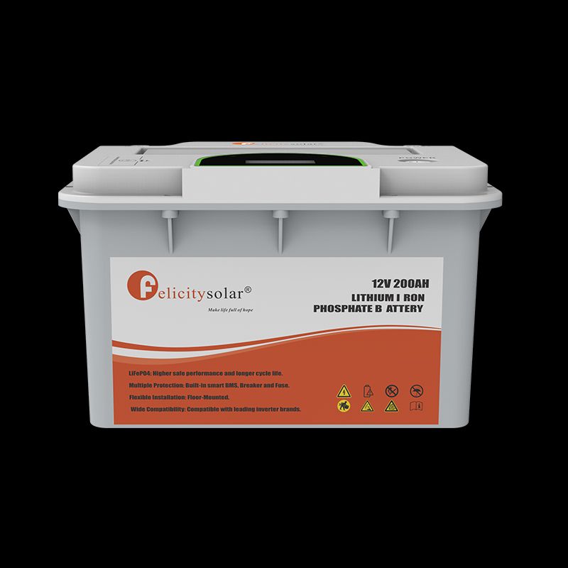 Felicity NEW FLA12200 Lithium Battery
