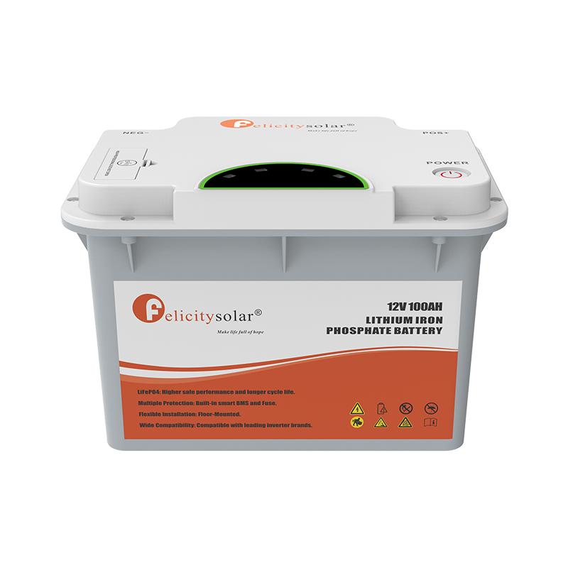 Felicity NEW FLA12100 Lithium Battery