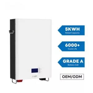 LUITAN LiFePO₄ 5KWh (51.2V) Lithium Battery 