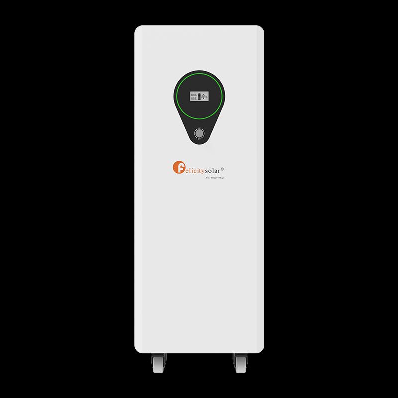 Felicity 17.5wh/51.2 Lithium Batteries