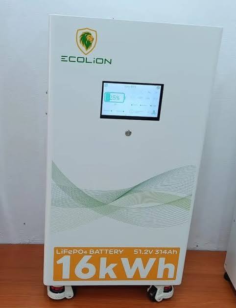 EcoLion 16KWH/51.2V Lithium Battery