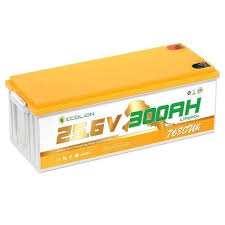 EcoLion 7.68KWH/51.2V Lithium Battery